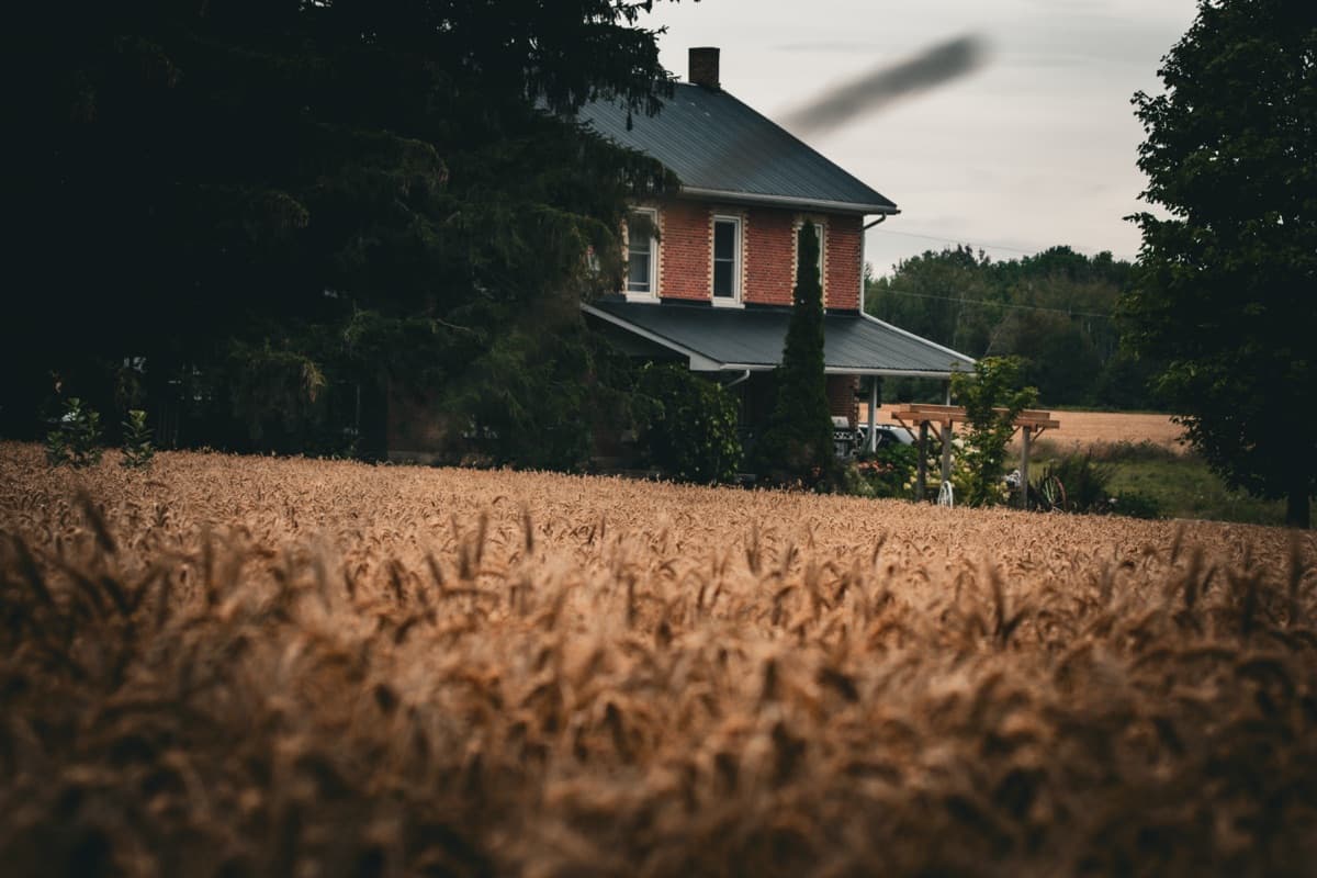 Country